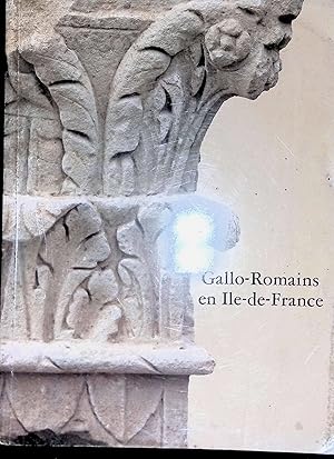 Image du vendeur pour Gallo-Romains en Ile-de-France mis en vente par LibrairieLaLettre2