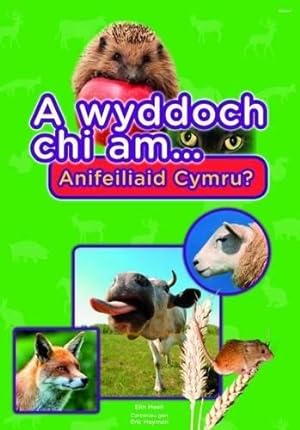 Seller image for Cyfres a Wyddoch Chi: A Wyddoch Chi am Anifeiliaid Cymru? for sale by WeBuyBooks