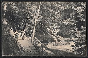 Image du vendeur pour Ansichtskarte Edmundsklamm /Bhm. Schweiz, Wasserfall mit Wanderweg mis en vente par Bartko-Reher