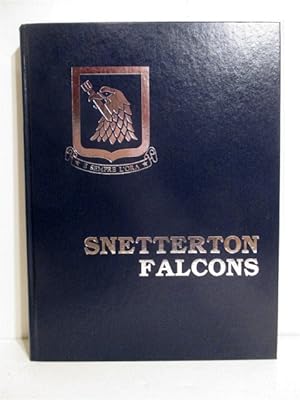Snetterton Falcons: 96th Bomb Group in World War II.