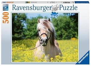 Bild des Verkufers fr Pferd im Rapsfeld (Puzzle) zum Verkauf von AHA-BUCH GmbH