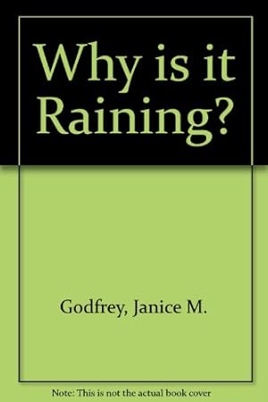 Imagen del vendedor de Why is it Raining? a la venta por WeBuyBooks