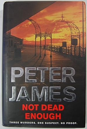 Not Dead Enough by James, Peter (2007) Hardcover