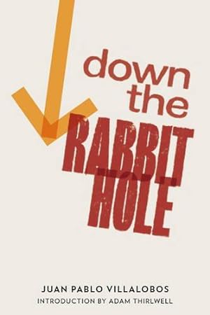 Bild des Verkufers fr Down the Rabbit Hole zum Verkauf von WeBuyBooks