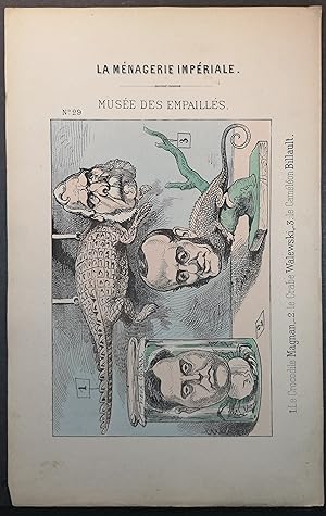 Imagen del vendedor de Farblithographie um 1870. Muse des Empaills. 1. Le Crocodile Magnan. a la venta por ANTIQUARIAT Franke BRUDDENBOOKS