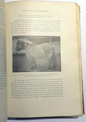 Seller image for The Influence of Man On Animal Life In Scotland. A Study In Faunal Evolution for sale by St Marys Books And Prints