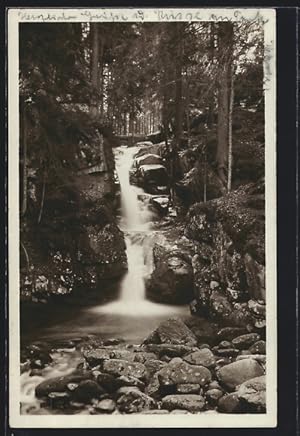 Ansichtskarte Hainfall, Wasserfall im Riesengebirge