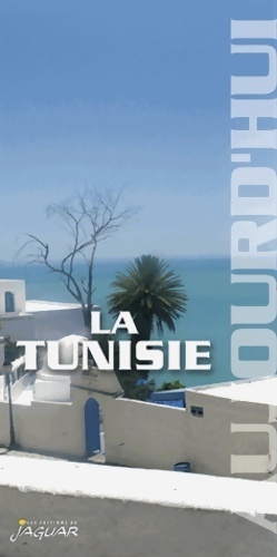 Image du vendeur pour La Tunisie aujourd'hui - Frida Dahmani mis en vente par Book Hmisphres