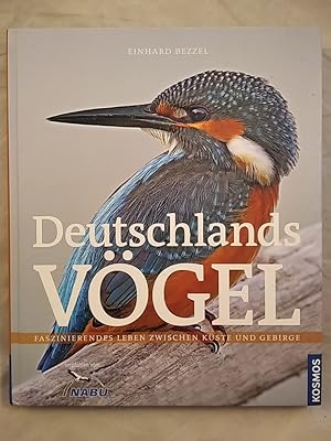 Deutschlands Vögel: Faszinierendes Leben zwischen Küste und Gebirge.