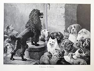 Bild des Verkufers fr Der Agitator. Ein Pudel hlt vor einer Versammlung unterschiedlichster Hunde (Bulldogge, Dackel, Rehpinscher, Dogge, Winhund etc.) eine Rede. zum Verkauf von Antiquariat Martin Barbian & Grund GbR