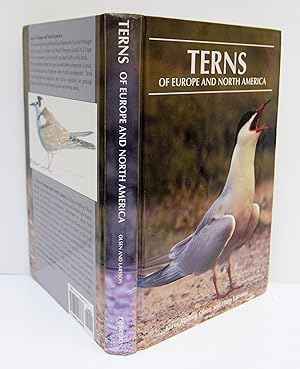 Seller image for TERNS OF EUROPE AND NORTH AMERICA. for sale by Marrins Bookshop