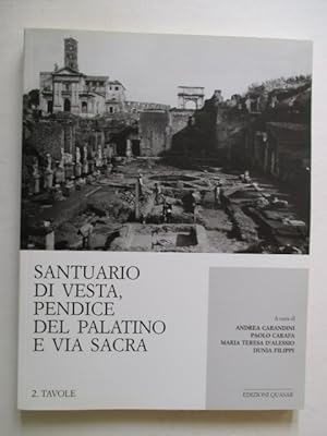 Santuario di Vesta, pendice del Palatino e Via sacra : scavi 1985-2016