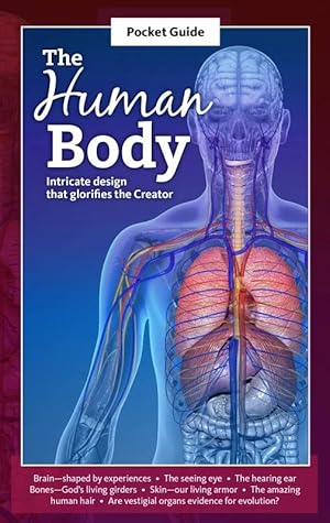 Seller image for A Pocket Guide to the Human Body for sale by The Story Shoppe