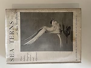 Image du vendeur pour Sea Terns or Sea Swallows mis en vente par Repton and Clover