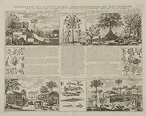 Seller image for Description des plantes, arbres, animaux & poissons des Iles Antilles for sale by Bolivar Old Prints Anticuario