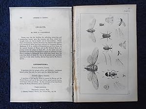 INSECTS. APPENDIX C: STANSBURY REPORT: EXPLORATION AND SURVERY OF THE VALLEY OF THE GREAT SALT LA...