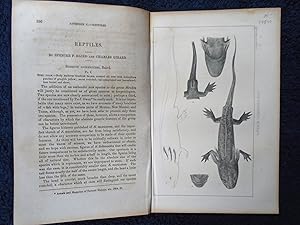 REPTILES. APPENDIX C: STANSBURY REPORT: EXPLORATION AND SURVERY OF THE VALLEY OF THE GREAT SALT L...