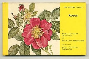 Seller image for Roses for sale by Between the Covers-Rare Books, Inc. ABAA