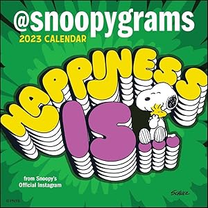 Imagen del vendedor de Peanuts 2023 Mini Wall Calendar a la venta por moluna