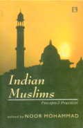Bild des Verkufers fr Indian Muslims: Precepts and Practice zum Verkauf von WeBuyBooks