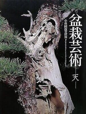 the world of bonsai