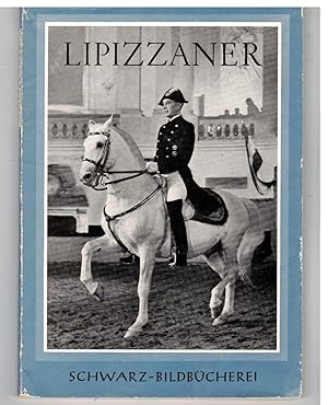 Seller image for Lipizzaner for sale by Bcherpanorama Zwickau- Planitz