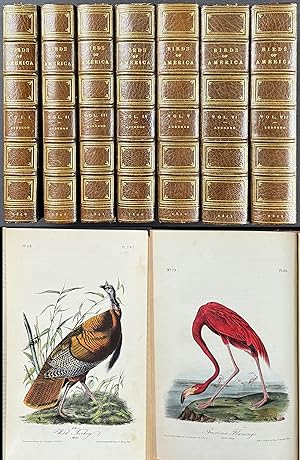 John James Audubon's Birds of America - 7 Volume set with 500 Originally Hand-colored Lithographs