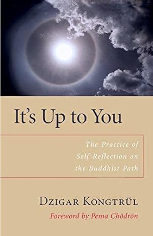Bild des Verkufers fr It's Up to You: The Practice of Selfreflection on the Buddhist Path zum Verkauf von WeBuyBooks