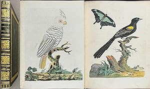 Brown's New Illustrations of Zoology - Volume with 50 Originally Hand-colored Engravings