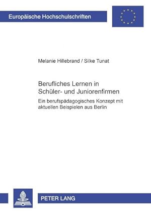 Seller image for Hillebrand, M: Berufliches Lernen in Schler- und Juniorenfi for sale by BuchWeltWeit Ludwig Meier e.K.