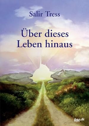 Seller image for ber dieses Leben hinaus for sale by BuchWeltWeit Ludwig Meier e.K.