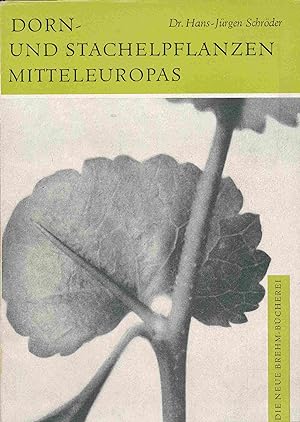 Bild des Verkufers fr Dorn- und Stachelpflanzen Mitteleuropas. (Die Neue Brehm-Bcherei, Heft 337). zum Verkauf von Antiquariat Bernhardt