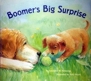 Seller image for Boomer's Big Surprise for sale by Kayleighbug Books, IOBA