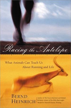 Imagen del vendedor de Racing the Antelope: What Animals Can Teach Us About Running and Life a la venta por WeBuyBooks