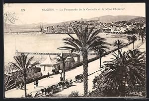 Carte postale Cannes, La Promenade de la Croisette et le Mont Chevalier