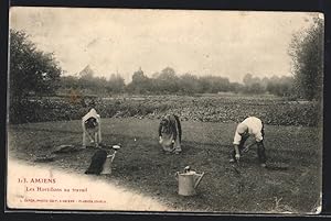 Carte postale Amiens, Les Hortillons au travail