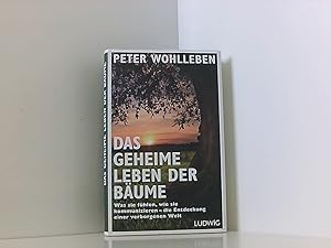 Bild des Verkufers fr Das geheime Leben der Bume: Was sie fhlen, wie sie kommunizieren - die Entdeckung einer verborgenen Welt was sie fhlen, wie sie kommunizieren - die Entdeckung einer verborgenen Welt zum Verkauf von Book Broker