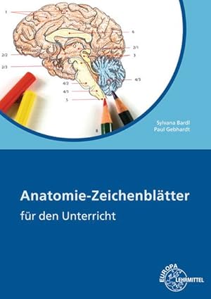 Anatomie Zeichenblätter Arbeitsheft für den Unterricht