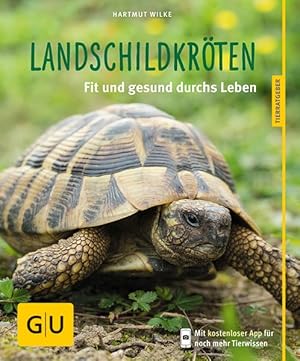 Bild des Verkufers fr Landschildkrten Fit und gesund durchs Leben zum Verkauf von primatexxt Buchversand