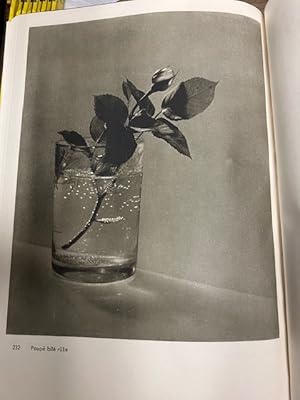 Josef Sudek Fotografie - Signed by Josef Sudek