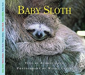 Seller image for Baby Sloth for sale by GreatBookPrices