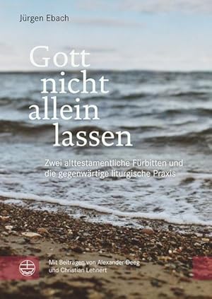 Immagine del venditore per Gott nicht allein lassen: Zwei alttestamentliche Frbitten und die gegenwrtige liturgische Praxis (Impulse fr Liturgie und Gottesdienst) venduto da Studibuch