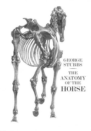 Bild des Verkufers fr Anatomy of the Horse: including a Particular Description of the bones, cartilages, muscles, fascias, Ligaments, Nerves, Arteries, Veins, and Glands zum Verkauf von WeBuyBooks