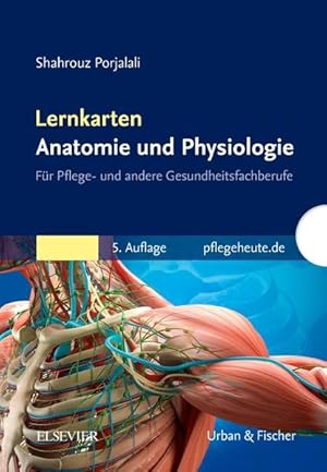 Lernkarten Anatomie und Physiologie für Pflege- und andere Gesundheitsfachberufe