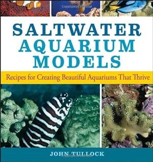 Bild des Verkufers fr Saltwater Aquarium Models: Recipes for Creating Beautiful Aquariums That Thrive zum Verkauf von WeBuyBooks