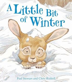 Imagen del vendedor de A Little Bit Of Winter (Rabbit and Hedgehog) a la venta por WeBuyBooks