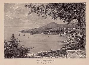 Bild des Verkufers fr Funchal auf Madeira. Holzstich von R.Taylor aus Reclus. zum Verkauf von Antiquariat Heinz Tessin