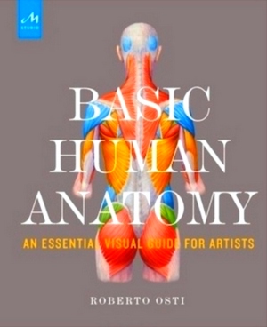 Seller image for Basic Human Anatomy An Essential Visual Guide for Artists Special Collection for sale by Collectors' Bookstore