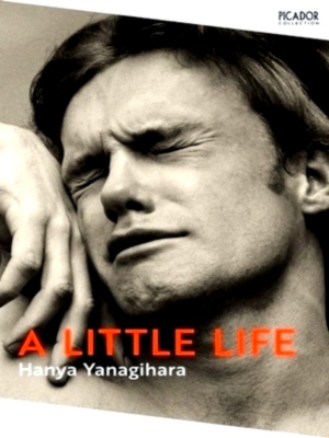 Seller image for A Little Life Special Collection for sale by Collectors' Bookstore