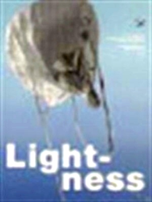 Image du vendeur pour Lightness the inevitable renaissance of minimum energy structures Special Collection mis en vente par Collectors' Bookstore